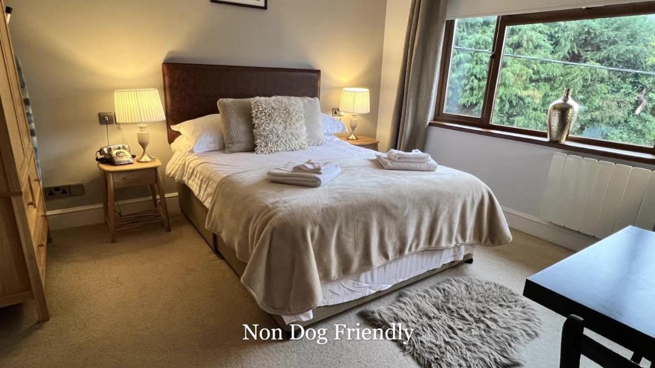 The Gower Hotel スウォンジー エクステリア 写真